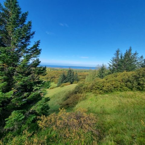 20250828_101206.jpg