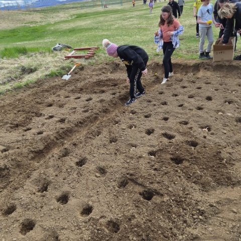 20260522_111210.jpg