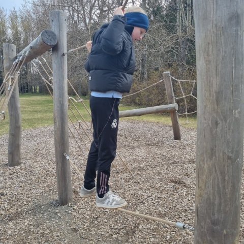 20260515_112936.jpg