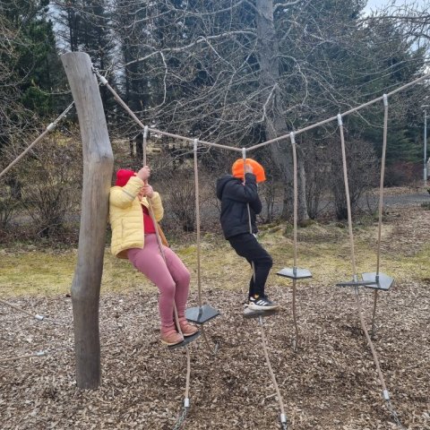 20260515_112941.jpg