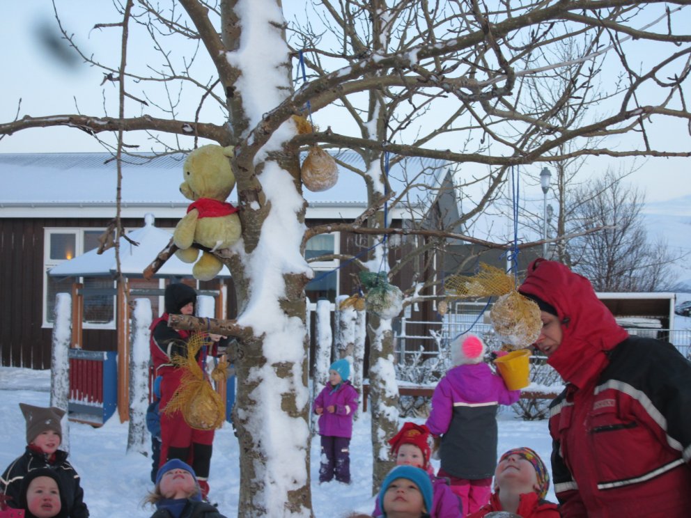 Munum eftir smáfuglunum