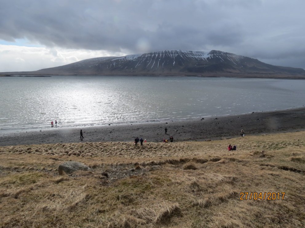 Ráðið í stöður fyrir næsta skólaár