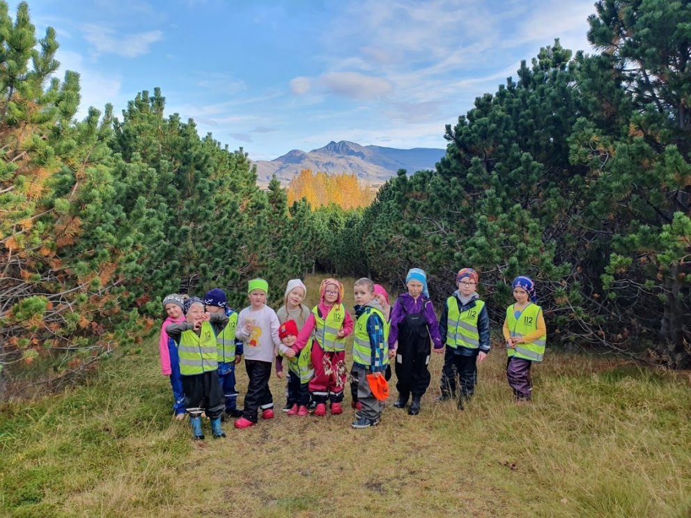 Skólasamstarfið hafið