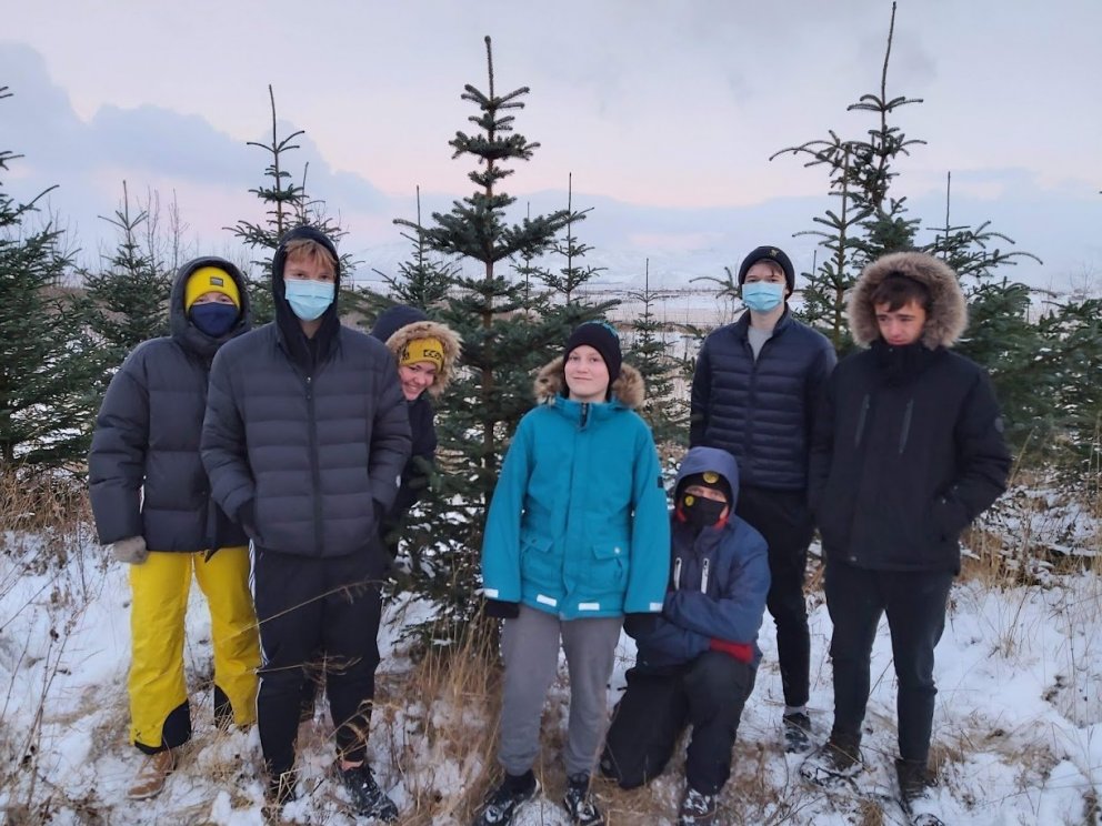 Jólatrésferð í Álfholtsskóg