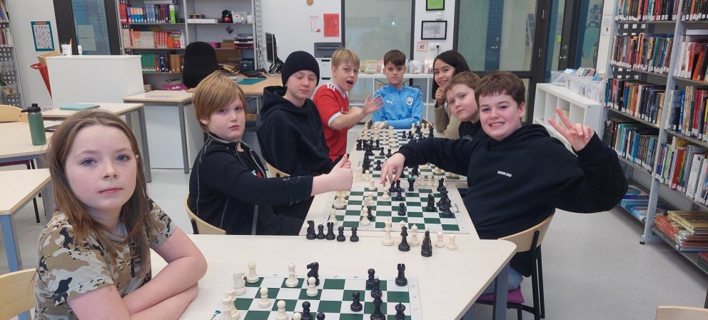 Áhugasviðsval á miðstigi