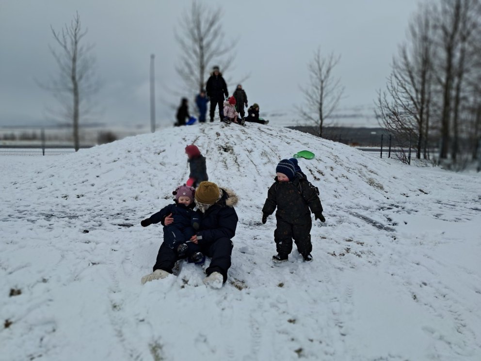 Fréttabréf Skýjaborgar janúar-apríl 2025