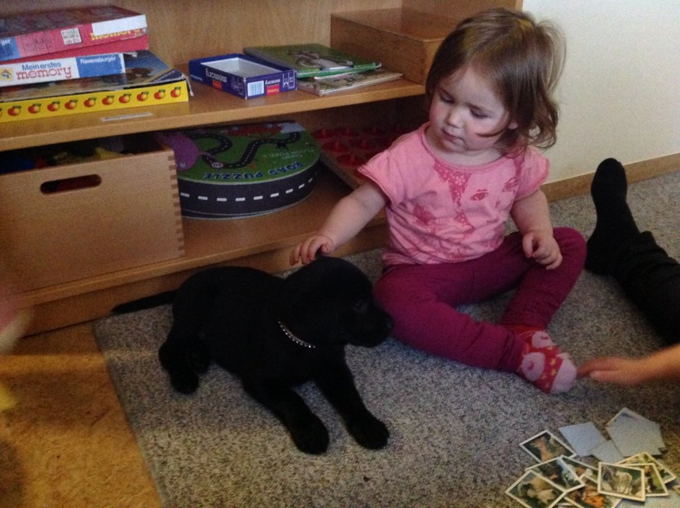 Hvolpar í heimsókn