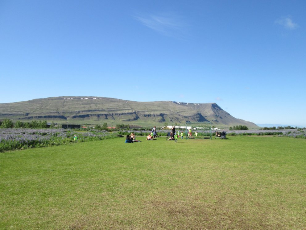 Nánasta umhverfið okkar