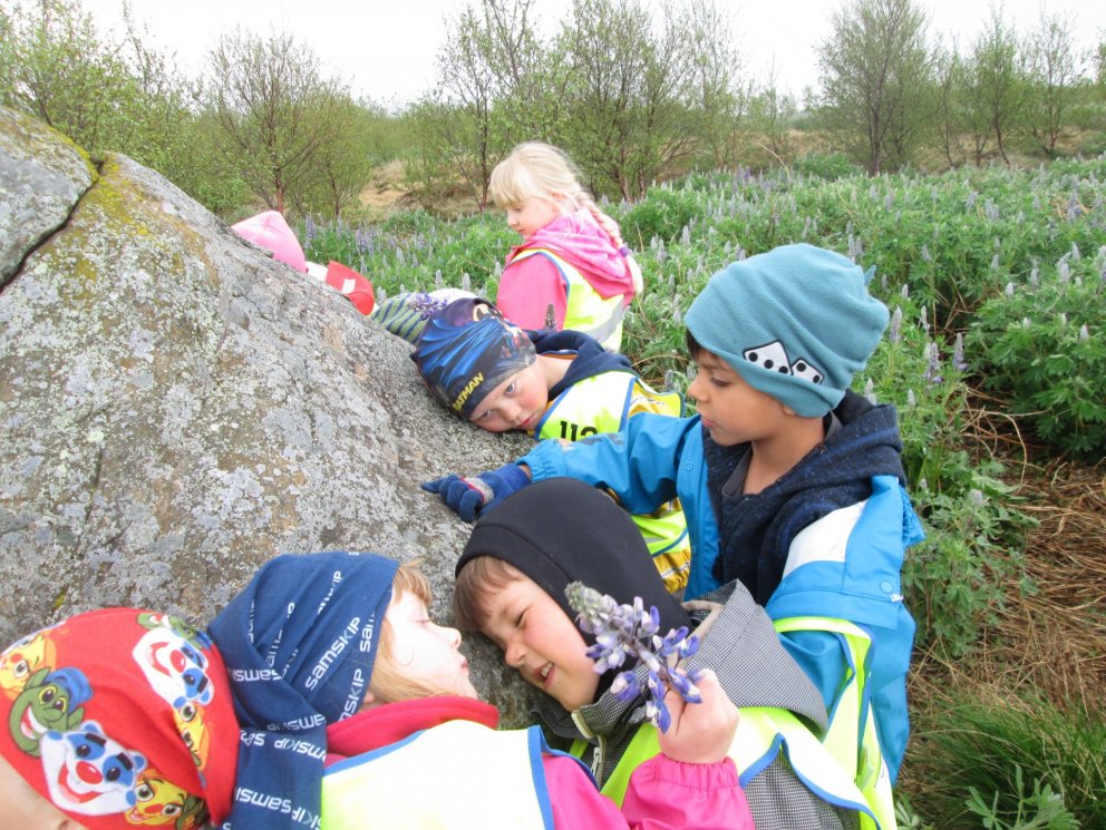 Gönguferð Regnbogans