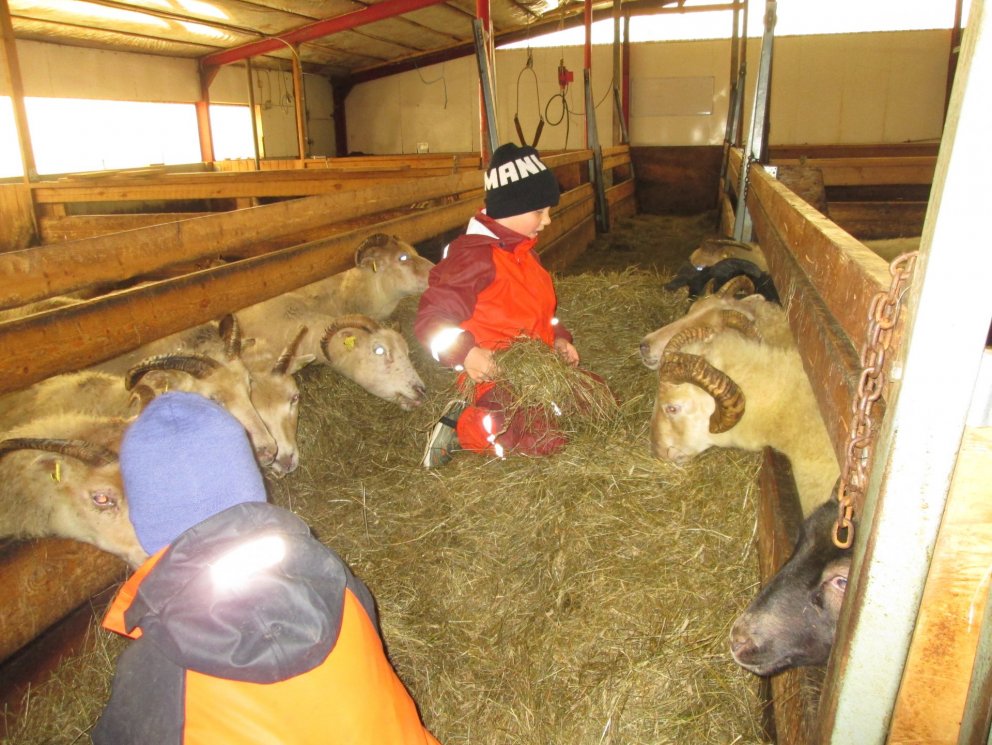 Ferð að Bjarteyjarsandi