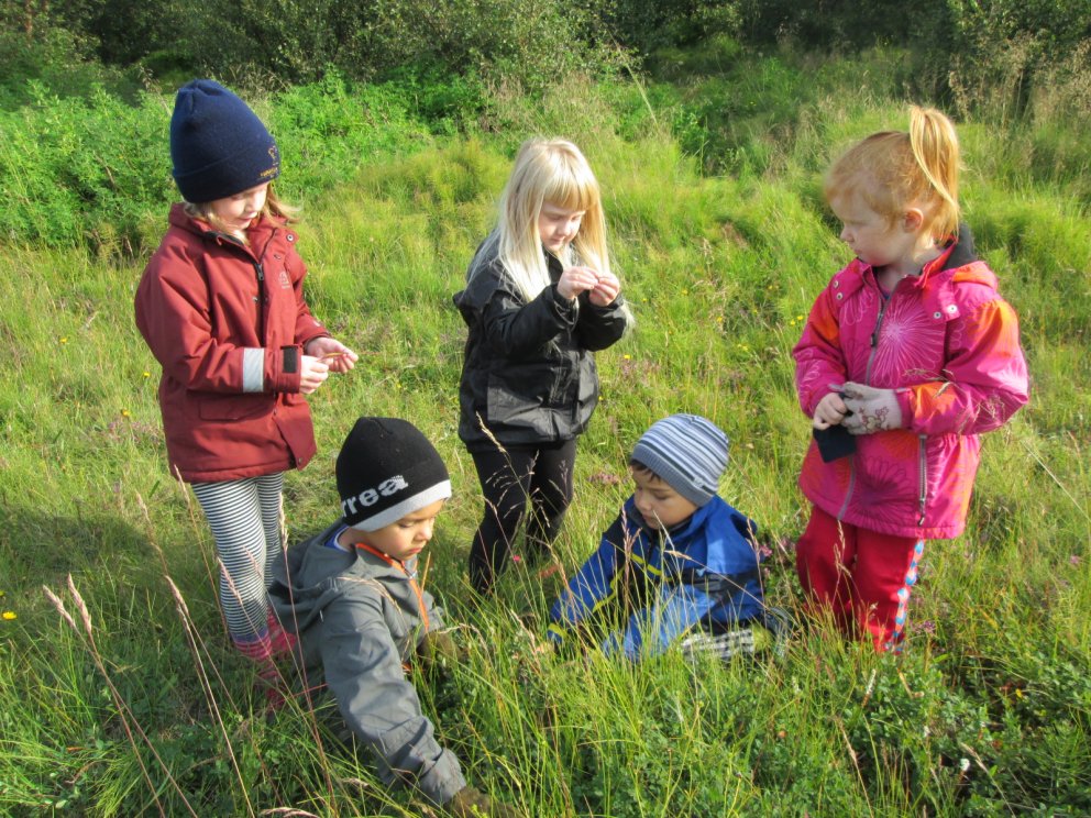 Berjatínsla og leynistaður