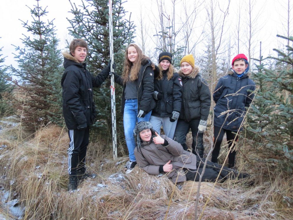 Jólatréð sótt í Álfholtsskóg