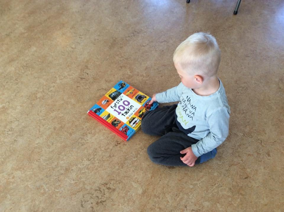 Dagur læsis 8. september