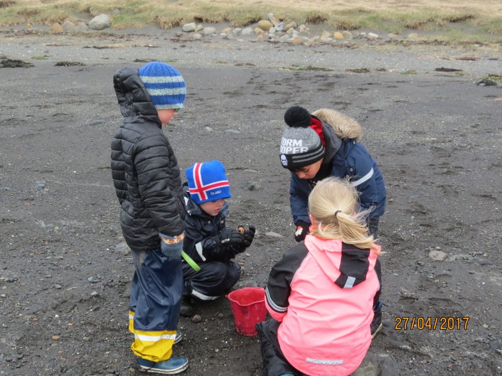Lausar stöður við Leik- og grunnskóla Hvalfjarðarsveitar