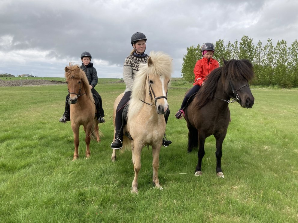 Töltkeppni Heiðarskóla