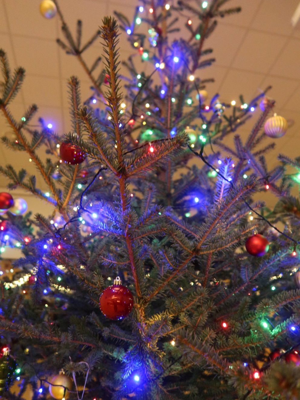 Jólakveðja frá Heiðarskóla