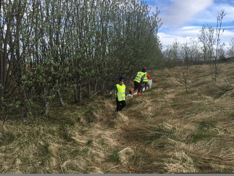 Dagur umhverfisins í Skýjaborg
