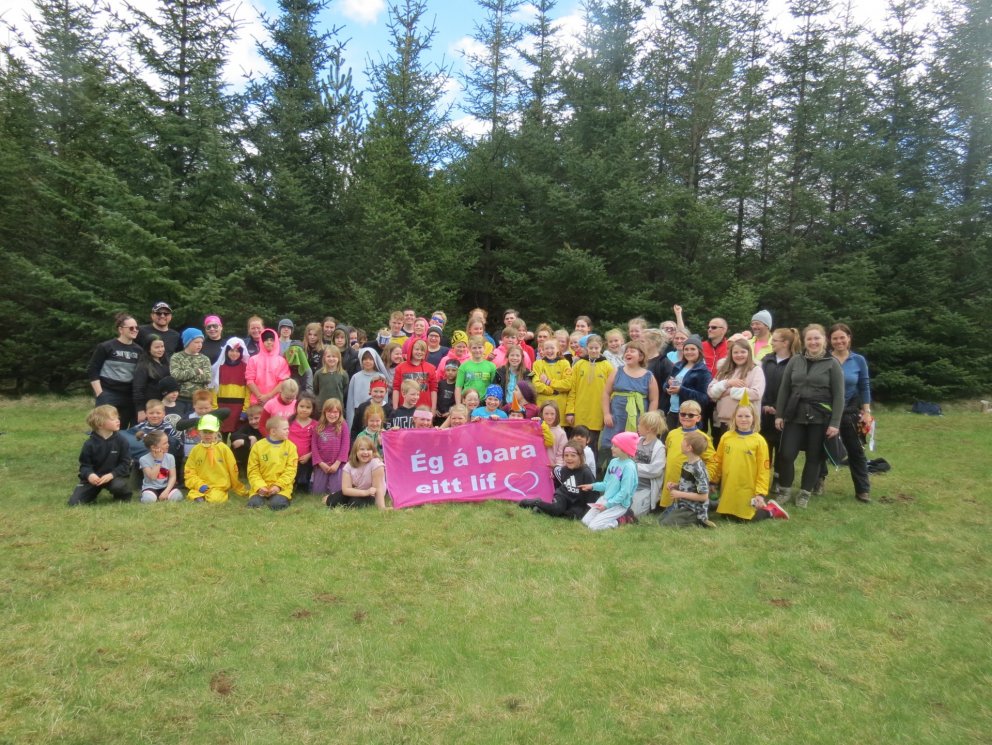 Velheppnaður Survivordagur