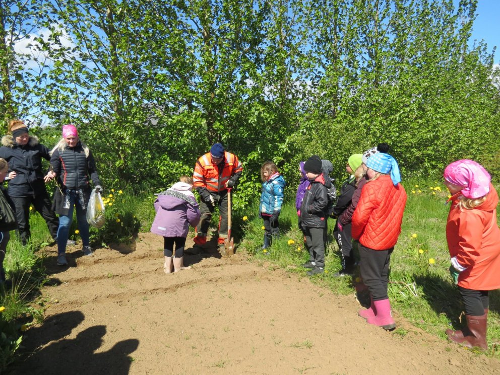 Gróðursetningardagur