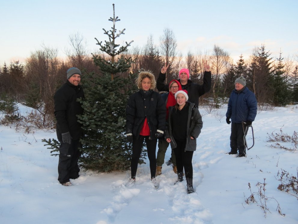 Jólatré Heiðarskóla