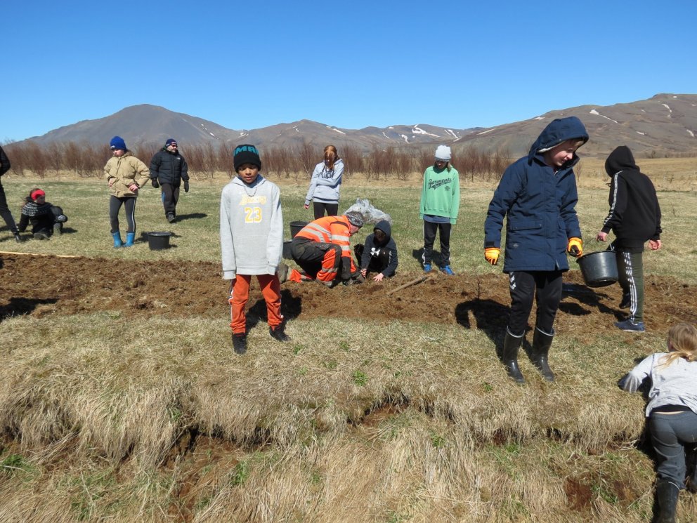 Gróðursetningardagur