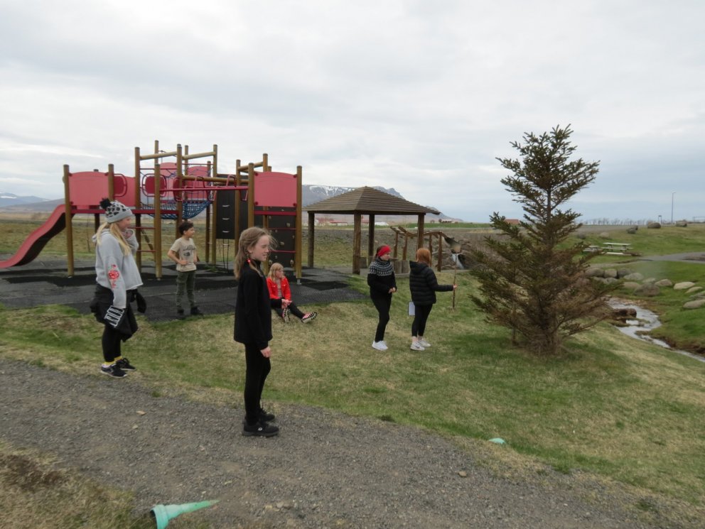 Þemaverkefni á miðstigi - tré