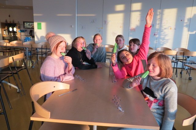 Verkefni í umhverfismennt