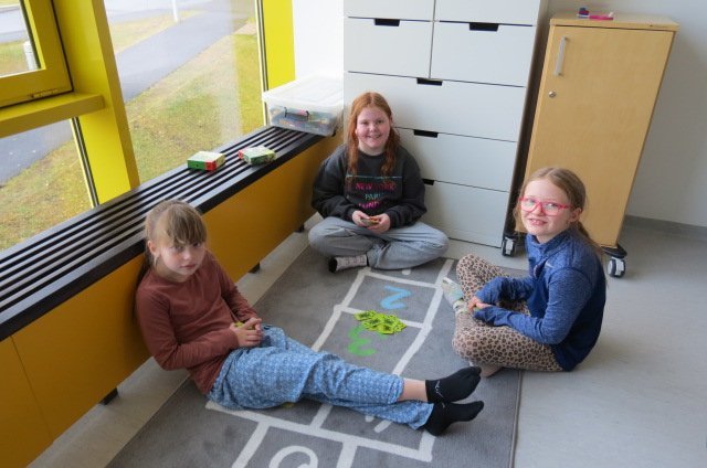 Lýðheilsuþema í Heiðarskóla