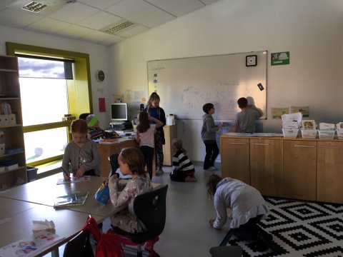 Starfsnám í skóla