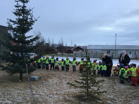 Kveikt á jólatrénu