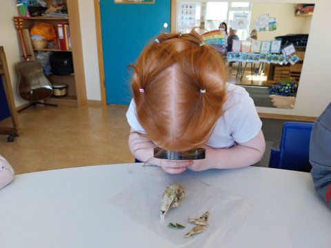 Dagur umhverfisins í Skýjaborg