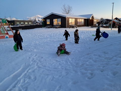 Fréttabréf Skýjaborgar - Jan2025