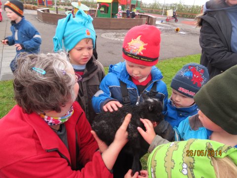 Heimalningurinn Fríða