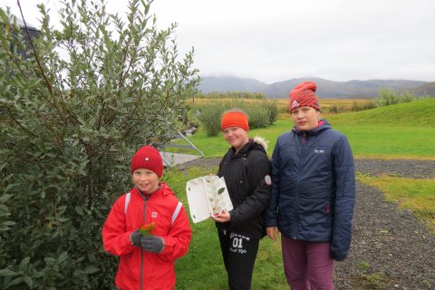 Dagur íslenskrar náttúru