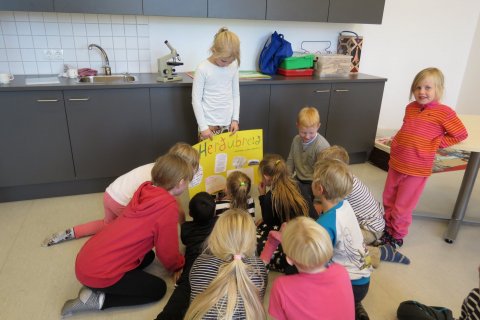 Fjallaverkefni í 1. - 4. bekk