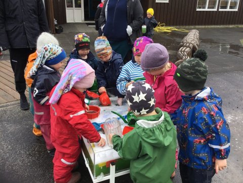 Laus störf í Skýjaborg