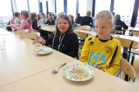 Matur að vali nemenda