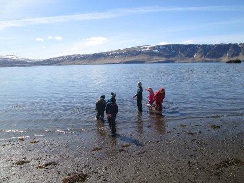 Sveitaferð á Bjarteyjarsand
