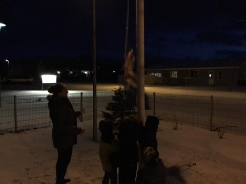 Dagur íslenkrar tungu