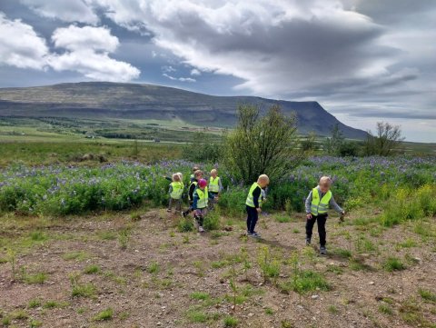 Sumar-fréttabréf Skýjaborgar