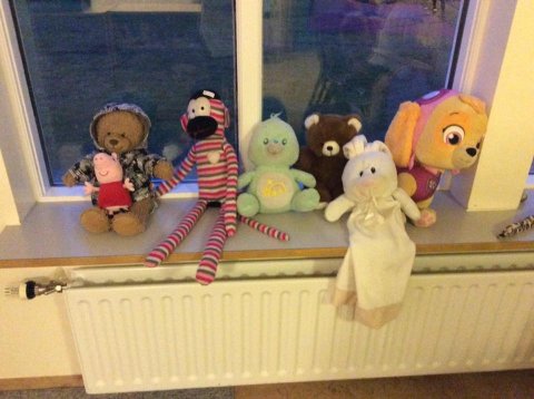 Bangsa- og náttfatadagur