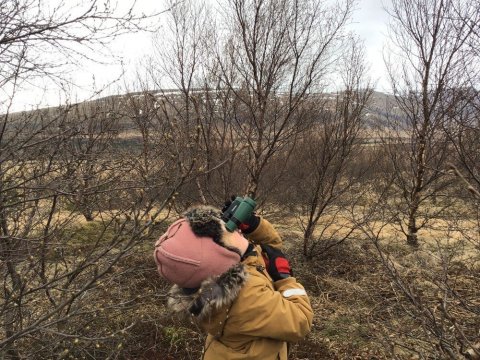 Leikskólakennari/leiðbeinandi óskast til starfa í Skýjaborg