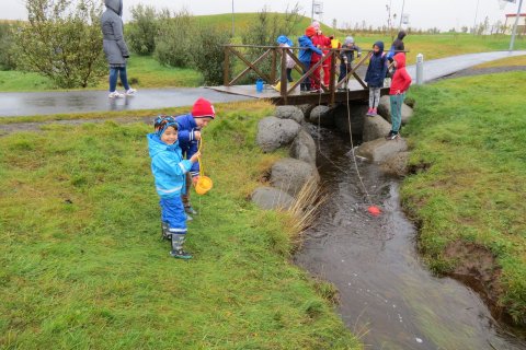 Skólasamstarfið hefst