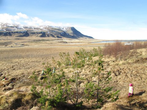 Skemmtilegt útinám