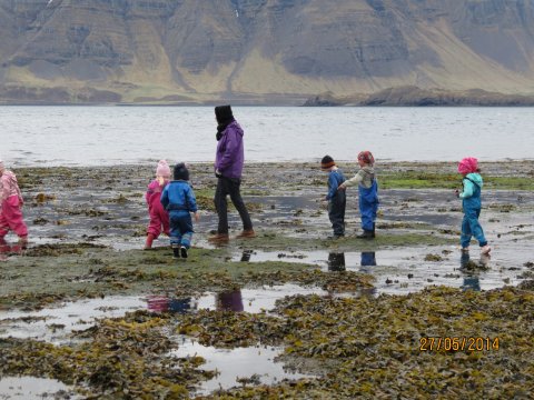 Starfsdagur leikskóla