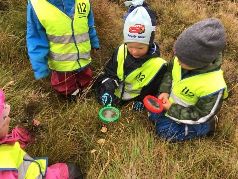 Dagur íslenskrar náttúru