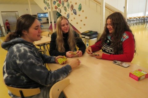 Spilavinir í heimsókn