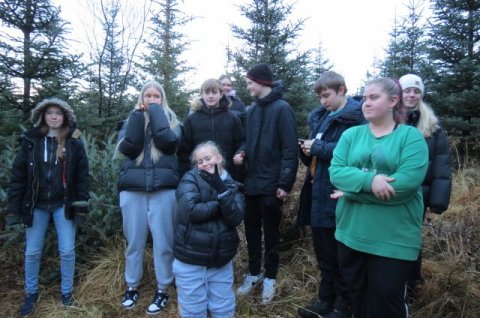 Jólatré Heiðarskóla sótt í Álfholtsskóg