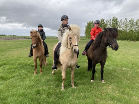 Töltkeppni Heiðarskóla