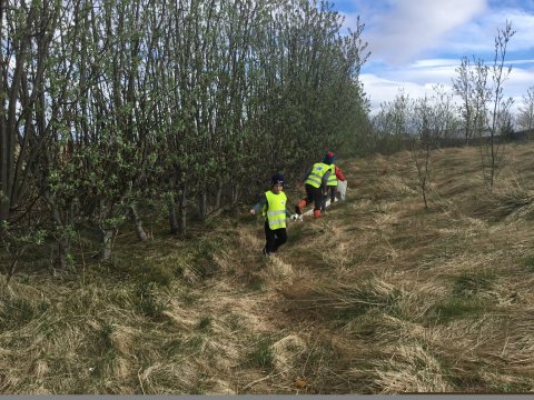 Dagur umhverfisins í Skýjaborg